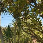Du Logis De La Mare Du Parc فندق مبيت وإفطار Surtainville