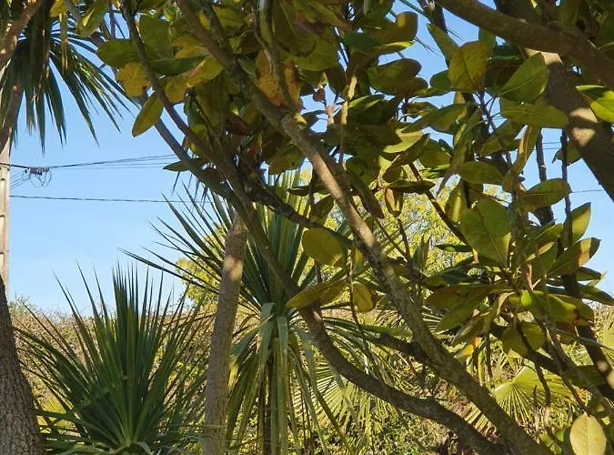 Du Logis De La Mare Du Parc Bed & Breakfast Surtainville