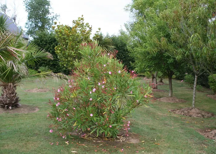 Du Logis De La Mare Du Parc Surtainville
