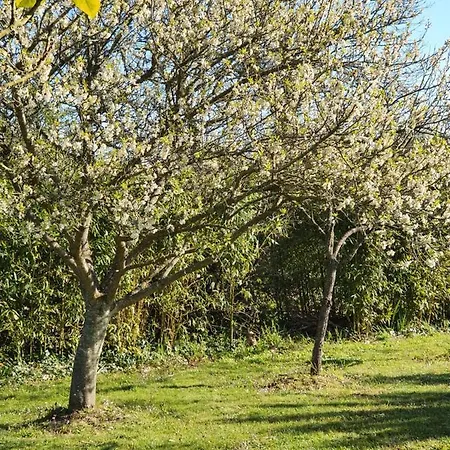 Du Logis De La Mare Du Parc Bed & Breakfast