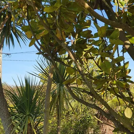 Du Logis De La Mare Du Parc Bed & Breakfast Surtainville