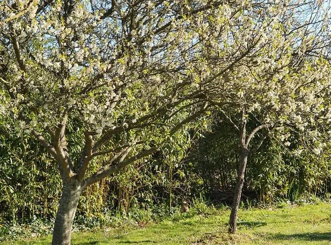 Du Logis De La Mare Du Parc Frühstückspension